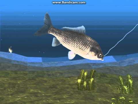 Reel Fishing Ii Coelacanth - towerfasr